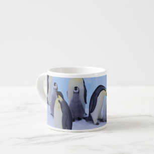 Antarctica, Keizerspinguïns Espresso Kop