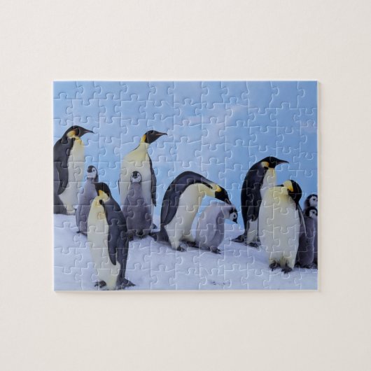 Antarctica, keizerspinguïns legpuzzel (Horizontaal)