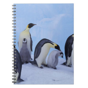 Antarctica, Keizerspinguïns Notitieboek