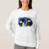 Antarctica, keizerspinguïns t-shirt (Voorkant)