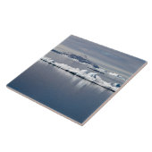 Antarctica landscape tegeltje (Zijkant)