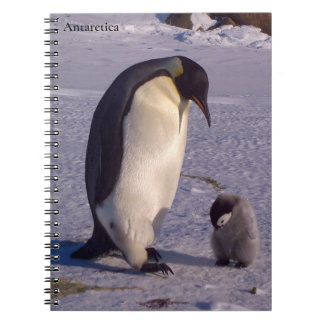 Antarctica Moederpinguïn strandt op baby Notitieboek