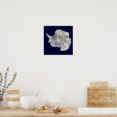 Antarctica (NASA Blue Marble Imagery) Poster (Keuken)