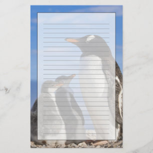 Antarctica, Neko Cove (Haven). Ezelspinguïn 2 Briefpapier