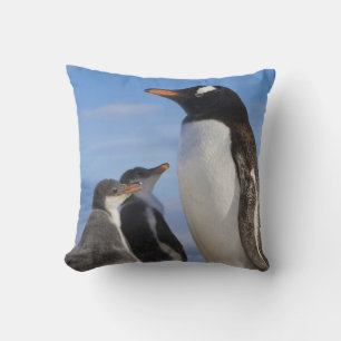 Antarctica, Neko Cove (Haven). Ezelspinguïn 2 Kussen