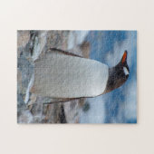 Antarctica. Neko Harbour. Gentoo Penguin Legpuzzel (Horizontaal)