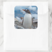 Antarctica. Neko Harbour. Gentoo Penguin Vierkante Sticker (Tas)