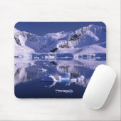 Antarctica, Paradise Bay Muismat (Met muis)