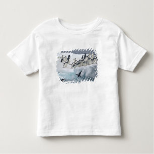 Antarctica, Paulet Island. Adelie pinguins Kinder Shirts