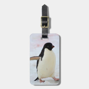 Antarctica. Petermann-eiland. Adelie-pinguïn Bagagelabel