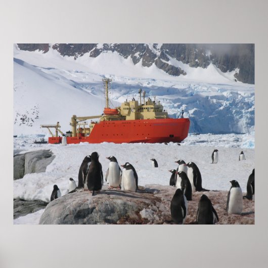 Antarctica Poster (Voorkant)