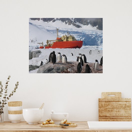 Antarctica Poster (Keuken)