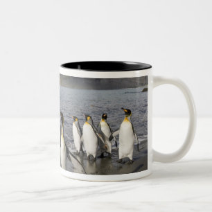 Antarctica, South Georgia-eiland (VK), Antarctisch Tweekleurige Koffiemok