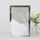 Antarctica, Sub-Antarctische eilanden, Zuid-5 Briefpapier (Staand voorkant)