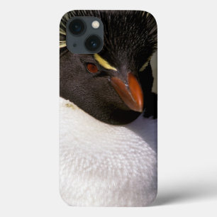 Antarctica, Sub-Antarctische eilanden, Zuid 5 iPhone 13 Hoesje