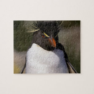 Antarctica, Sub-Antarctische eilanden, Zuid 5 Legpuzzel