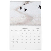 Antarctique - Calendrier 2020 (Feb 2027)