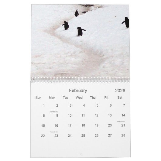 Antarctique - Calendrier 2020 (Feb 2026)