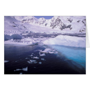 Antarctique. Expédition à travers les paysages de