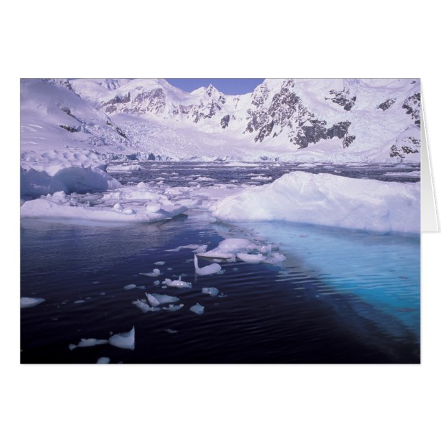 Antarctique. Expédition à travers les paysages de  (Devant horizontal)
