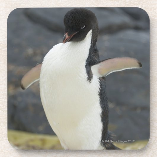 Antarctisch Bier Onderzetter (Voorkant)
