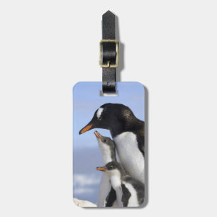 Antarctisch Schiereiland, Neko Harbour, Gentoo Bagagelabel
