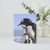 Antarctisch schiereiland, Neko Harbour, Gentoo Briefkaart (Staand voorkant)