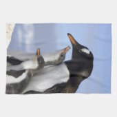 Antarctisch schiereiland, Neko Harbour, Gentoo Theedoek (Horizontaal)