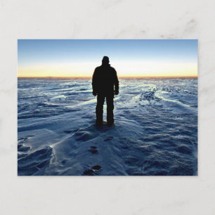 Antarctische zonnebank briefkaart