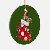 Anteater kerstcadeautjes keramisch ornament (Rechts)