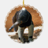 Anteater Ornament (Achterkant)