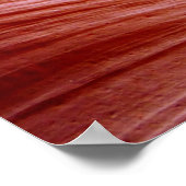 Antelope Canyon in Arizona Poster (Hoek)