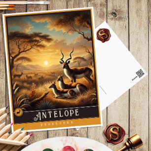 Antelope   Carte postale Famille Vintage Animal