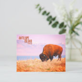 Antelope Island Bison Briefkaart (Staand voorkant)