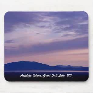 Antelope Island, Great Salt Lake, Verenigde Staten Muismat