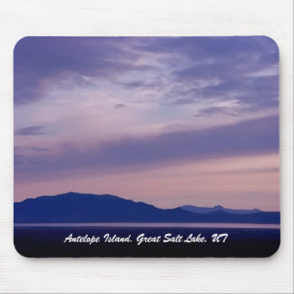 Antelope Island, Great Salt Lake, Verenigde Staten Muismat