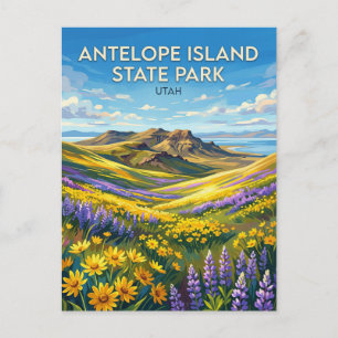 Antelope Island State Park Utah Briefkaart