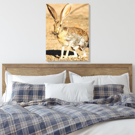 Antelope jackrabbit portret, Arizona Canvas Afdruk (Insitu (Slaapkamer))