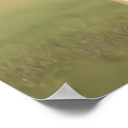 Antelope Jackrabbit staand op gras Poster (Hoek)