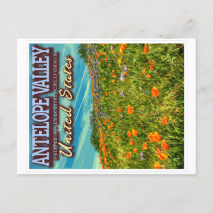 ANTELOPE VALLEY - CALIFORNIA US - SPRING POPPIES BRIEFKAART