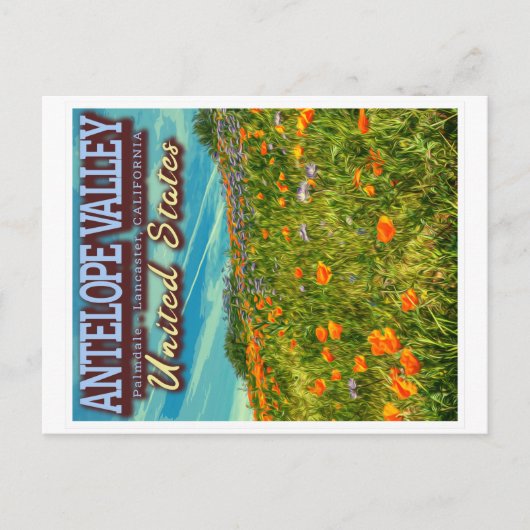ANTELOPE VALLEY - CALIFORNIA US - SPRING POPPIES BRIEFKAART (Voorkant)