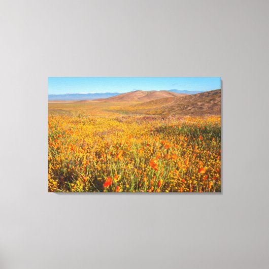 Antelope Valley Canvas Afdruk (Voorkant)
