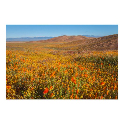 Antelope Valley Perfect Poster (Voorkant)