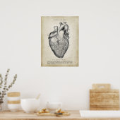 Anterieur Uitzicht van het hart Anatomie Poster (Keuken)