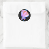 Anthias Ronde Sticker (Tas)