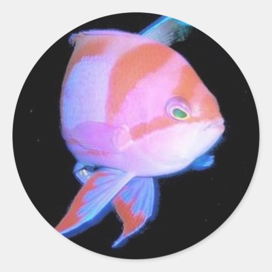 Anthias Ronde Sticker (Voorkant)