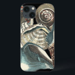 Anthologie de coquillage<br><div class="desc">Cette illustration par le studio de vision capture une partie de la meilleure vie marine d'océan. Obtenez ce morceau rustique d'illustration de ces différentes formes et tailles des coquilles de conque. C'est un morceau unique d'illustration de ces morceaux d'anthologie de coquillage.</div>