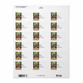 Anthony Chapel Cross Etiket (Full Sheet)