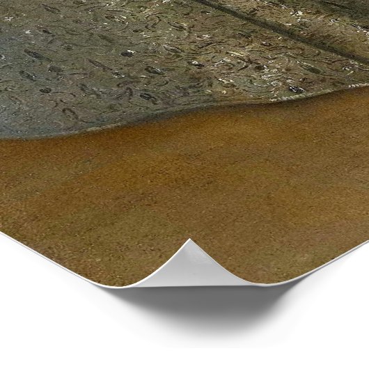 Anthony van Dyck - William met zijn bruid Poster (Hoek)