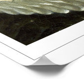 Anthony van Dyck Zedign Art Poster #744 (Hoek)